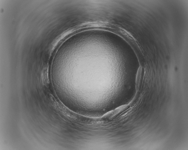 X0000054471174200508011453