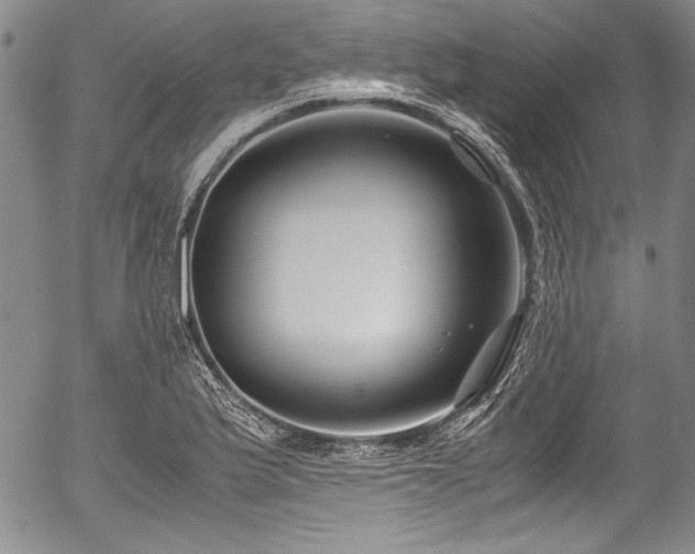 X0000054471175200508011453