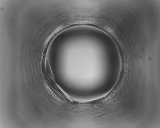 X0000054471181200508011453