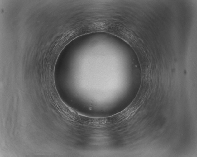 X0000054471201200508011452