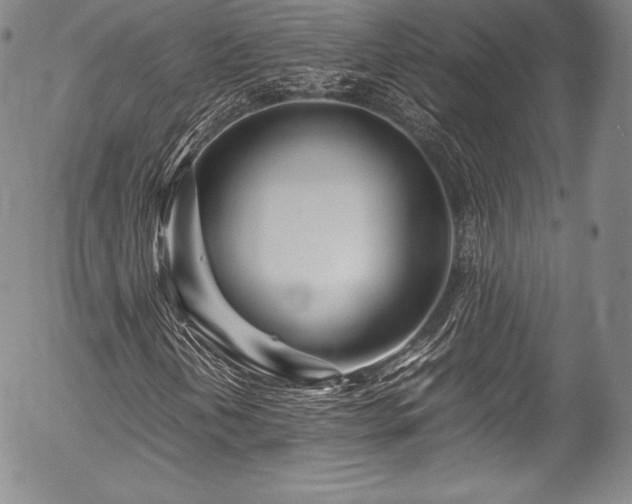 X0000054471202200508011452