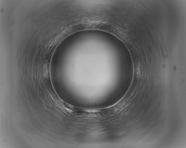 X0000054471204200508011452