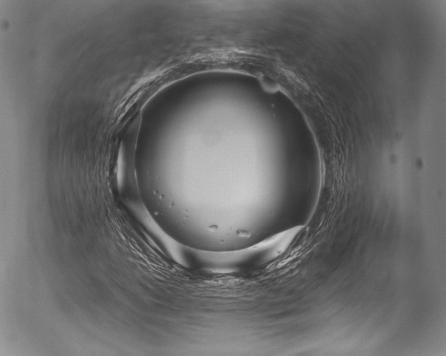 X0000054471206200508011452