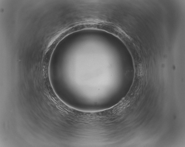 X0000054471208200508011452