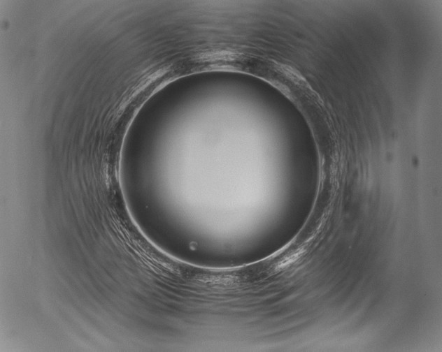 X0000054471209200508011452