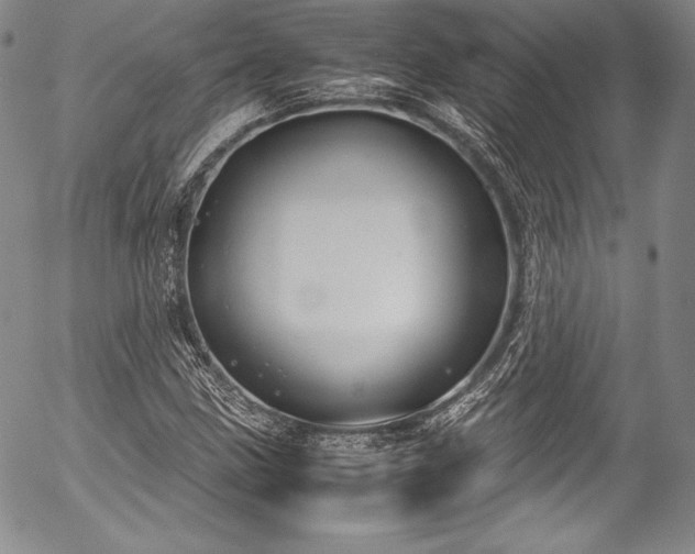 X0000054471211200508011452