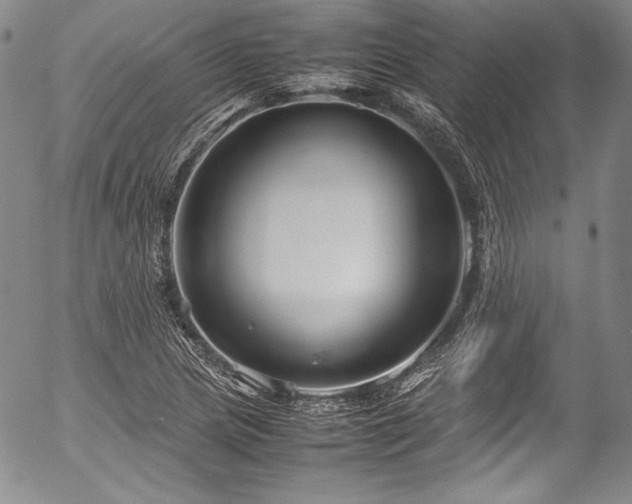 X0000054471217200508011452