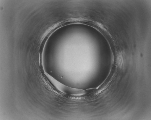 X0000054471221200508011452