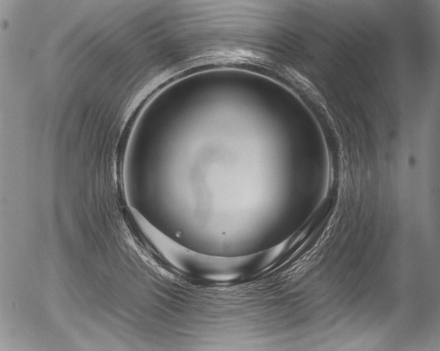 X0000054471226200508011452
