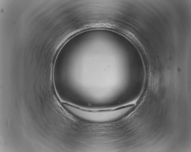 X0000054471228200508011452