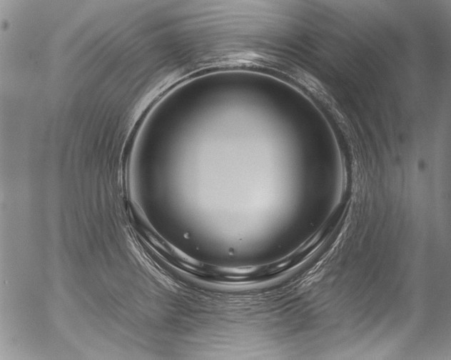 X0000054471234200508011452