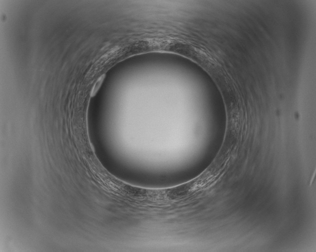 X0000054471249200508011452