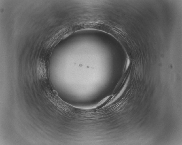 X0000054471252200508011452