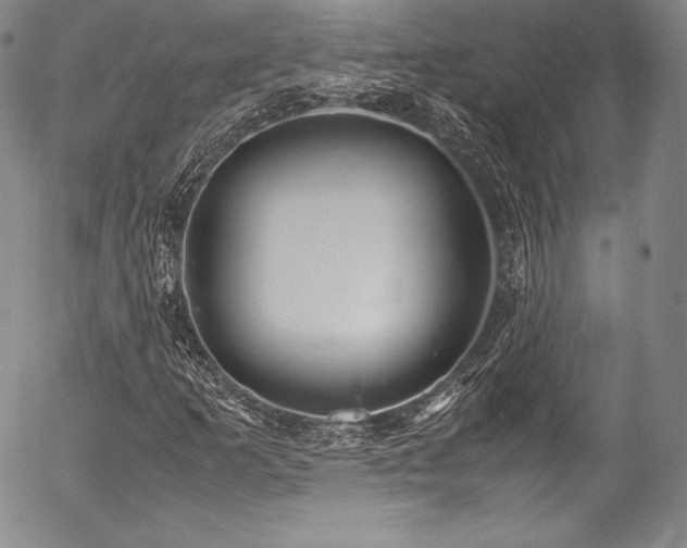 X0000054471253200508011452
