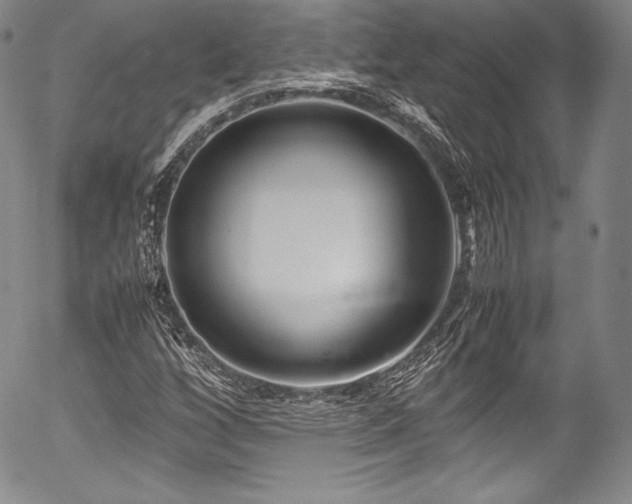 X0000054471256200508011452
