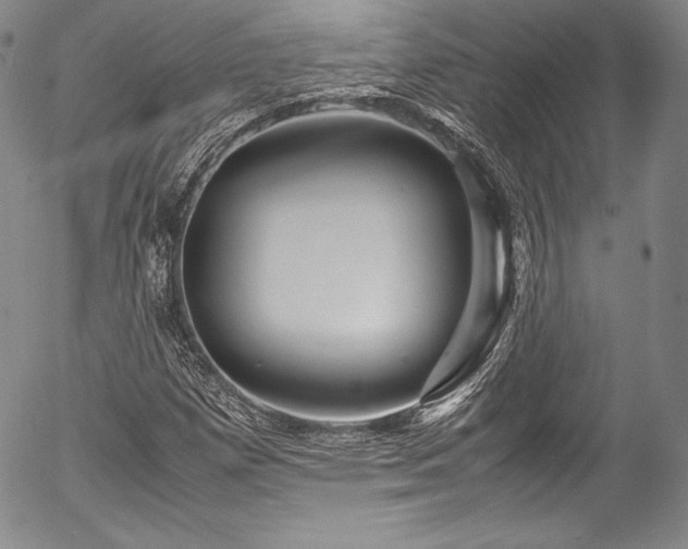X0000054471257200508011452