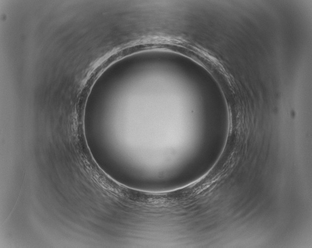 X0000054471264200508011451