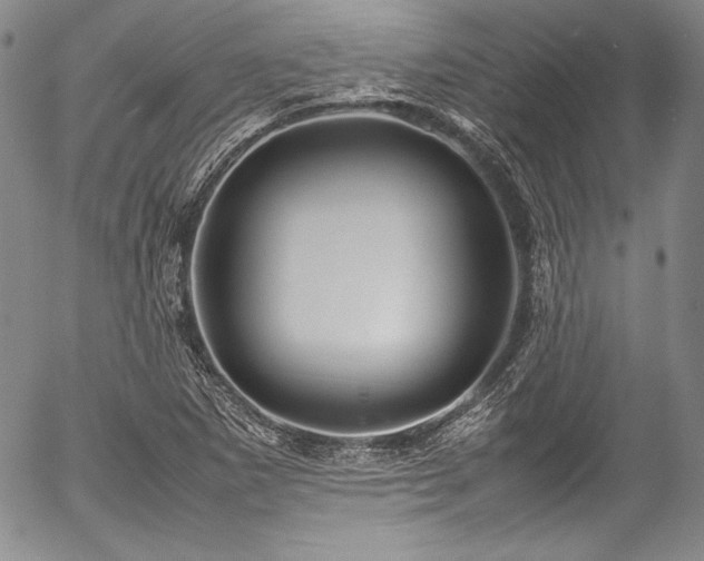 X0000054471265200508011451