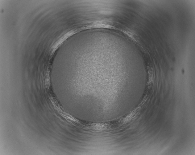 X0000054471266200508011451