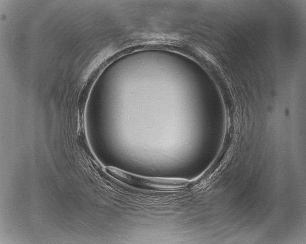 X0000054471267200508011451