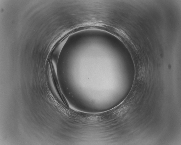 X0000054471268200508011451