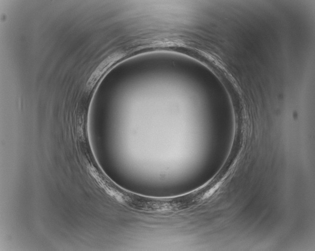 X0000054471273200508011451