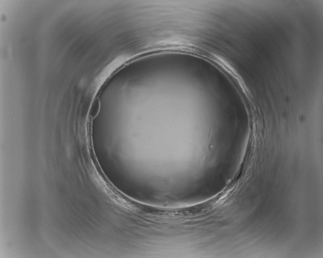 X0000054471291200508011451