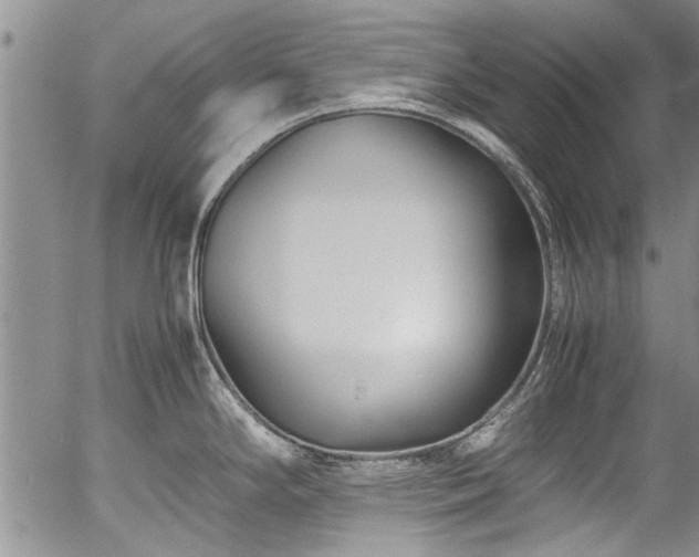 X0000054471294200508011451