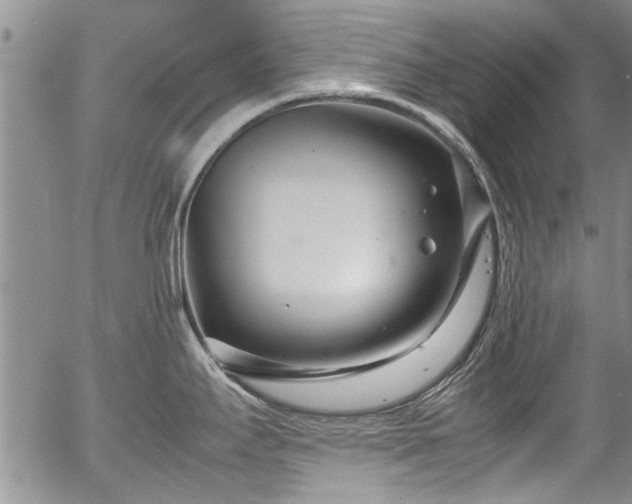 X0000054471295200508011451