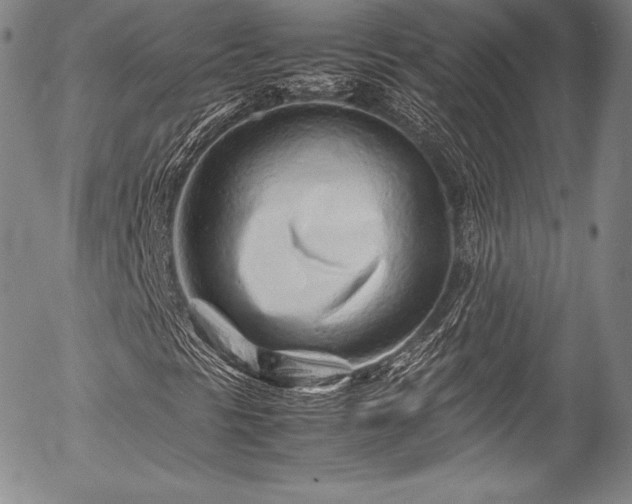 X0000054471297200508011450