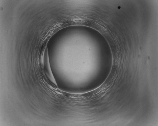X0000054471298200508011450