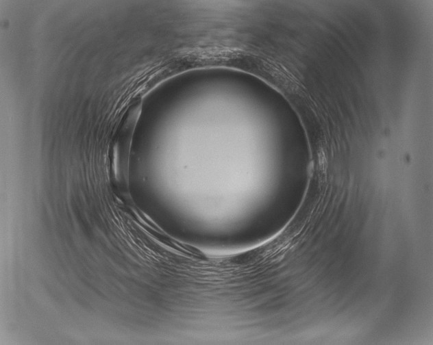 X0000054471300200508011450