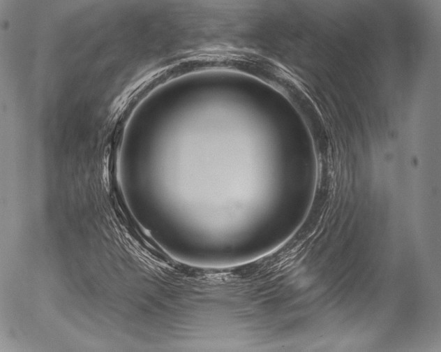 X0000054471304200508011450