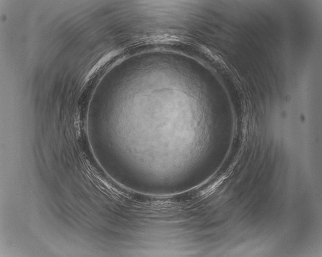 X0000054471306200508011450