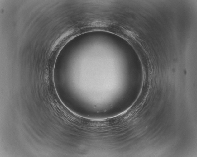X0000054471307200508011450