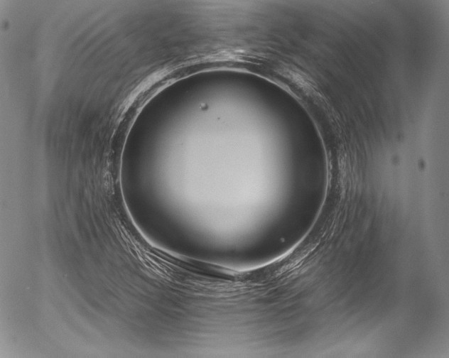 X0000054471308200508011450