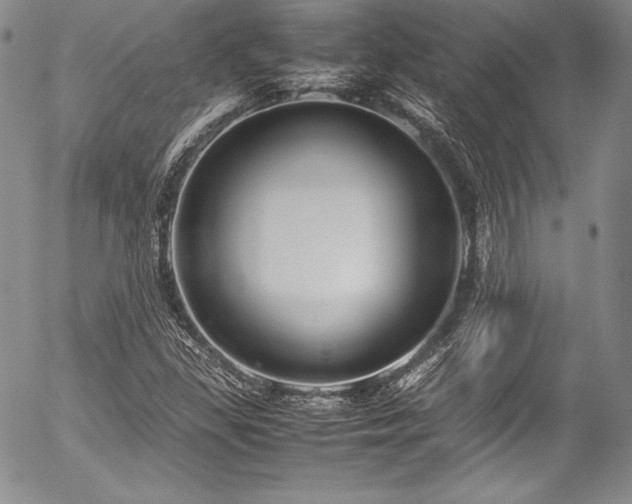 X0000054471309200508011450