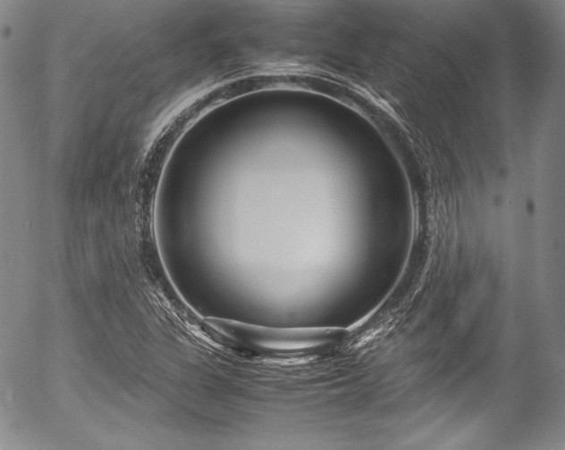 X0000054471311200508011450