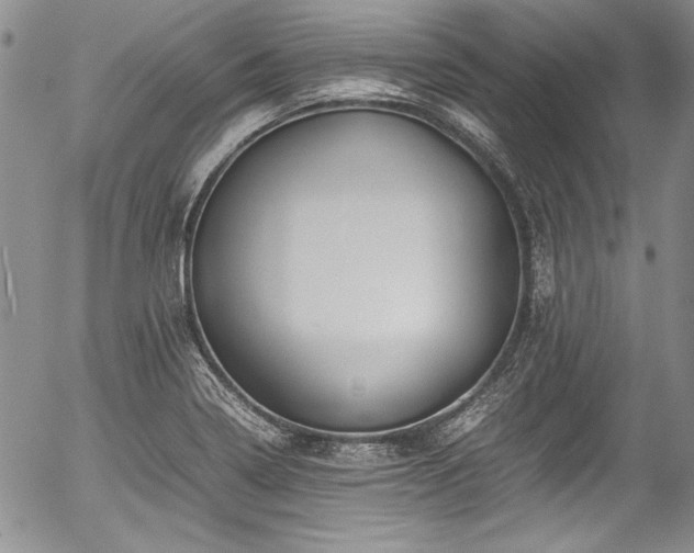 X0000054471322200508011450