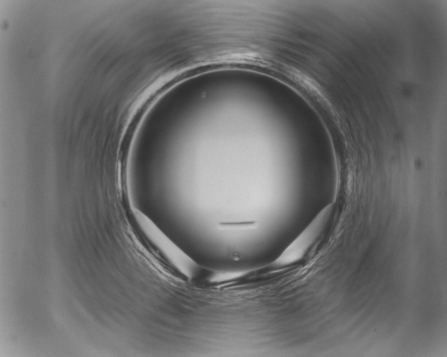X0000054471324200508011451