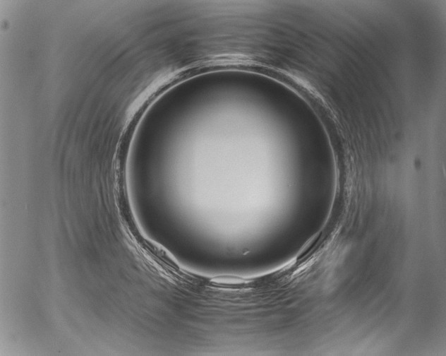 X0000054471325200508011451