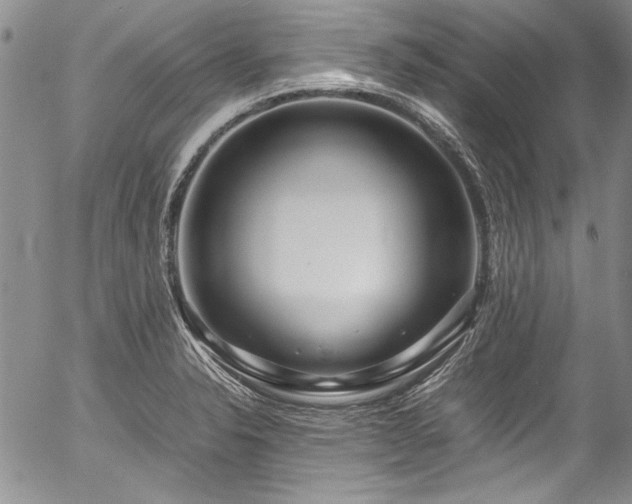 X0000054471326200508011451