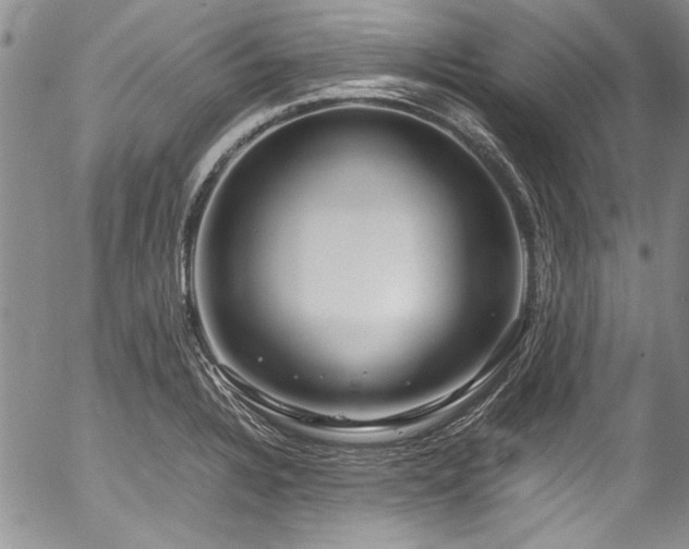 X0000054471328200508011451