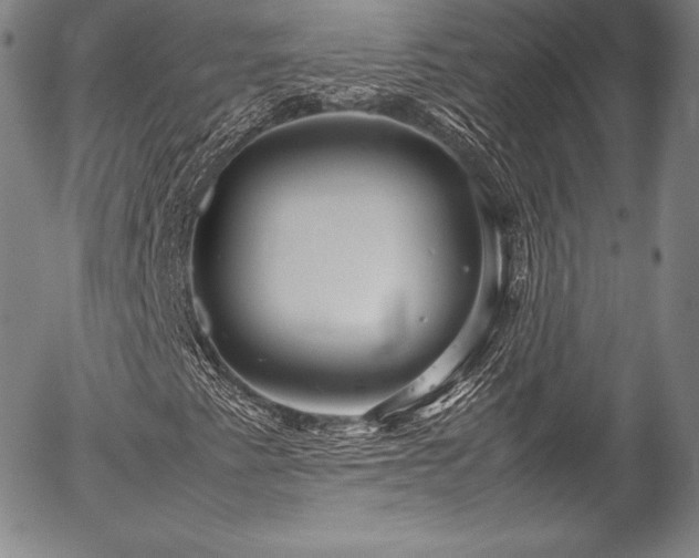 X0000054471345200508011450