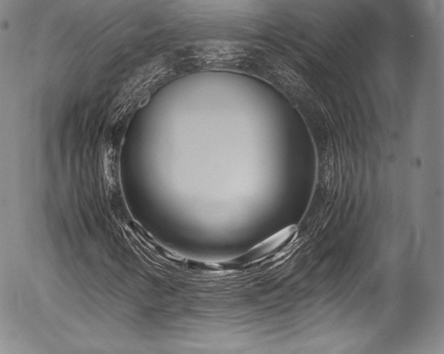 X0000054471346200508011450