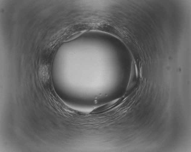 X0000054471347200508011450