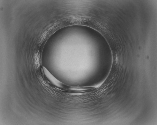 X0000054471348200508011450