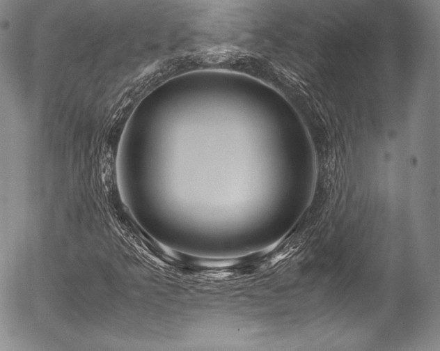 X0000054471349200508011450