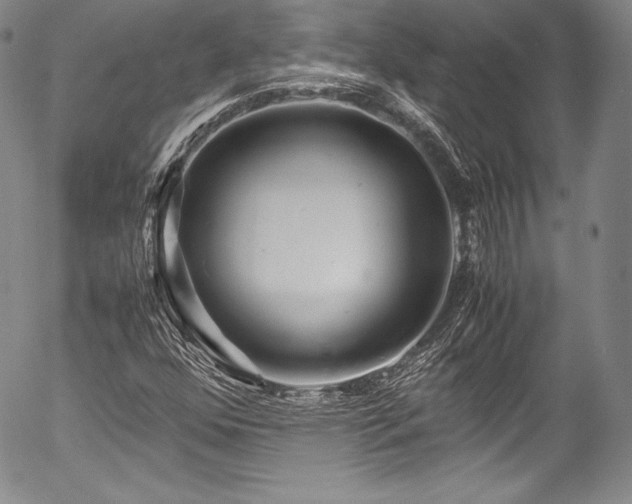 X0000054471352200508011450