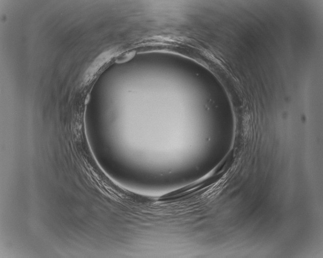 X0000054471355200508011450